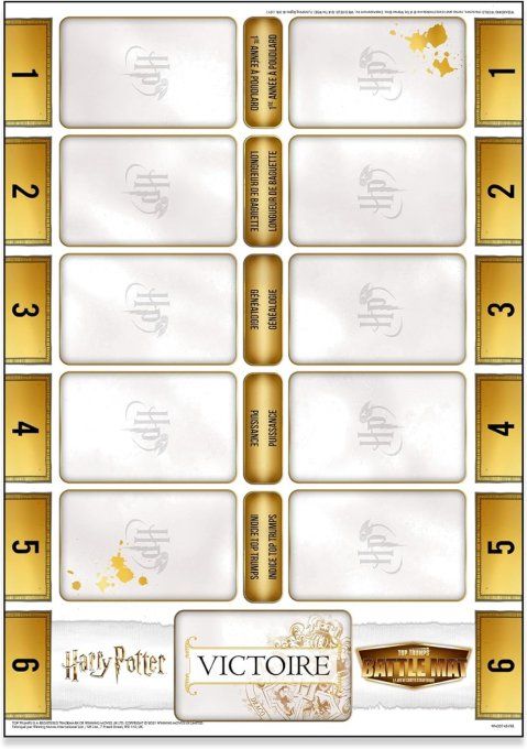 Harry Potter   Battle Mat