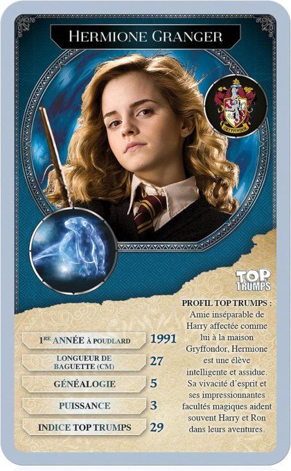 Harry Potter   Battle Mat