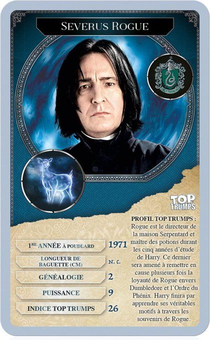 Harry Potter   Battle Mat