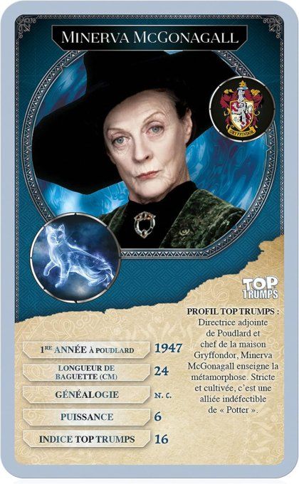 Harry Potter   Battle Mat